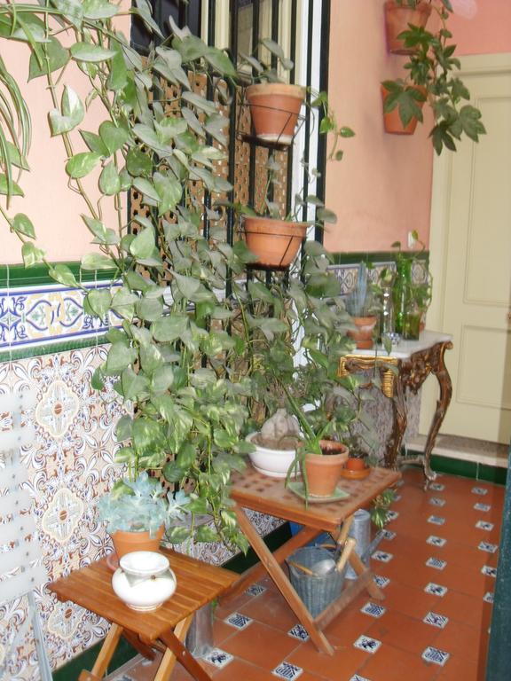 El Riad Andaluz مالقة المظهر الخارجي الصورة